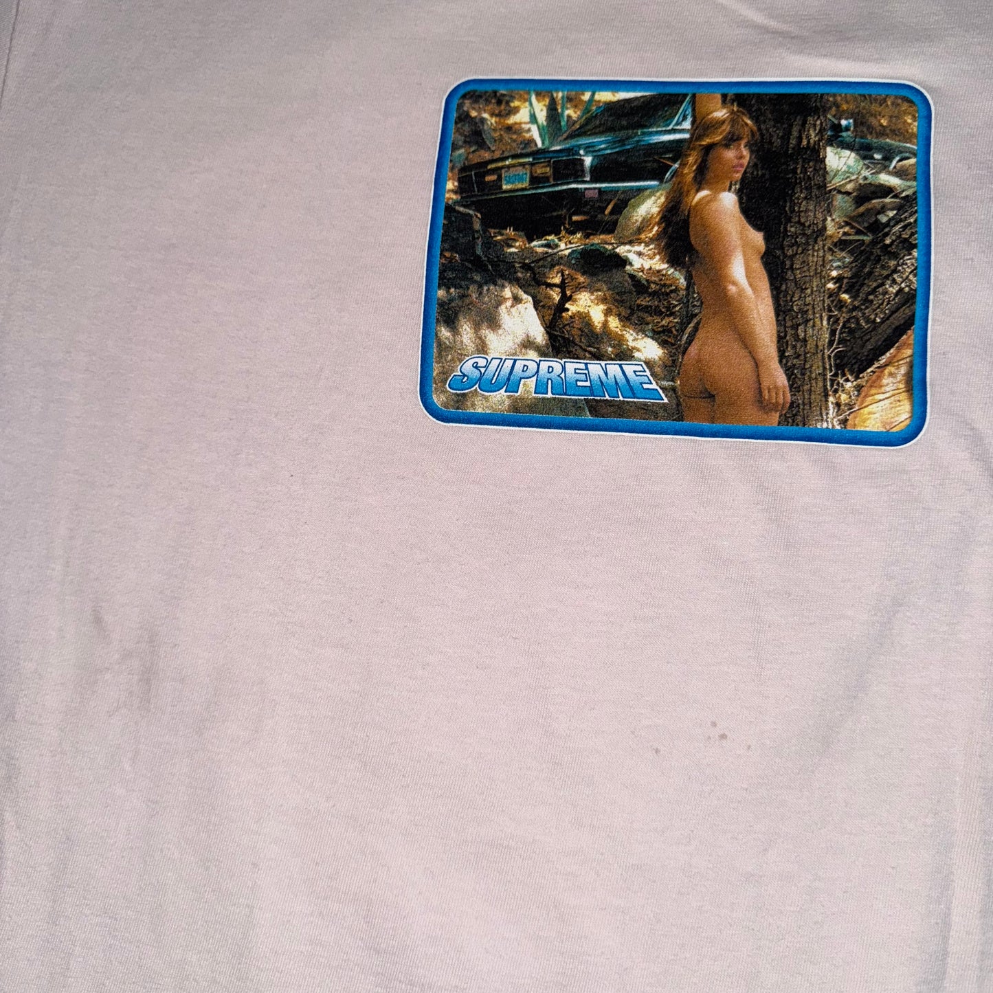 Supreme Larry Clark Calendar Girl T-shirt