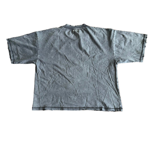 Amis Et Fleurs Dream Girls Tee, Back