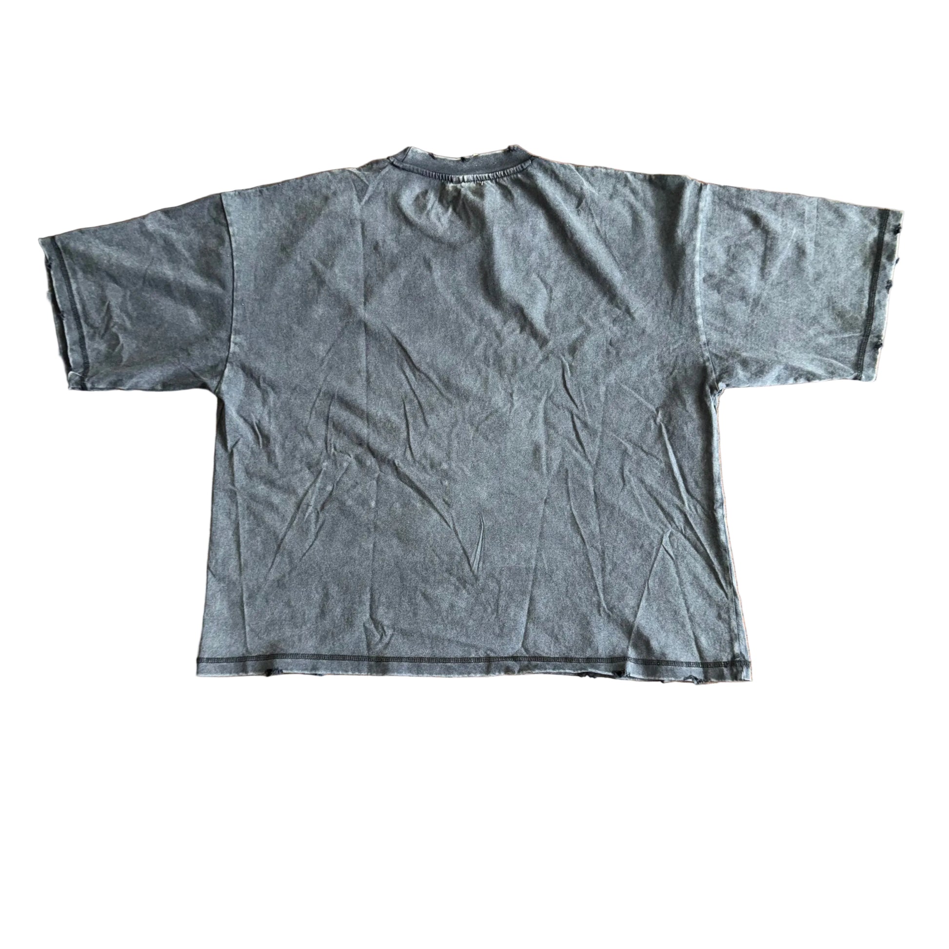 Amis Et Fleurs Dream Girls Tee, Back