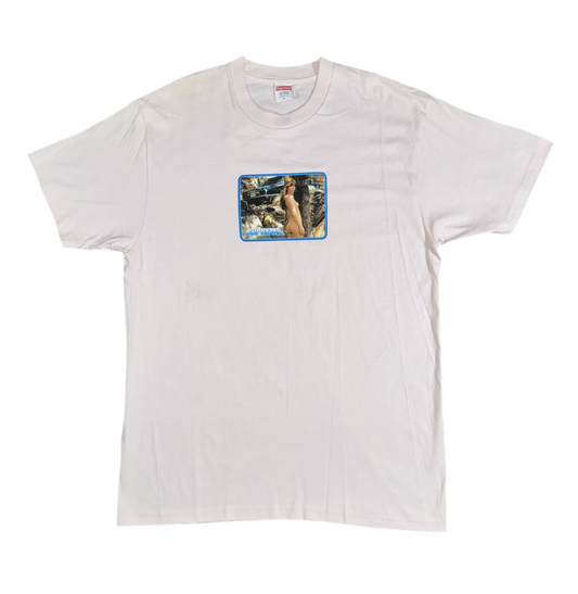 Supreme Larry Clark Calendar Girl T-shirt